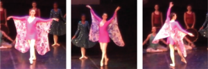butterfly6